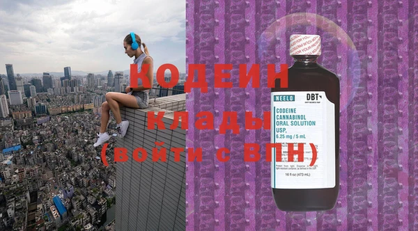 прущие грибы Вязники