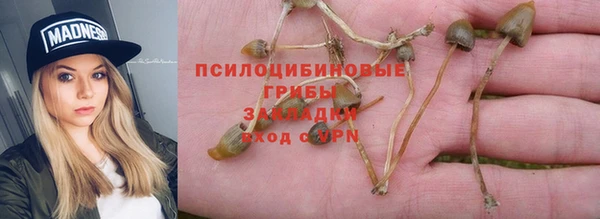 2c-b Вязьма