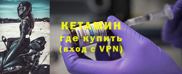 прущие грибы Вязники