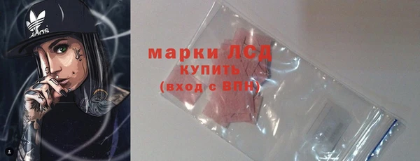 прущие грибы Вязники