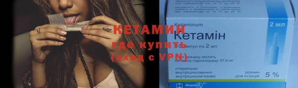прущие грибы Вязники