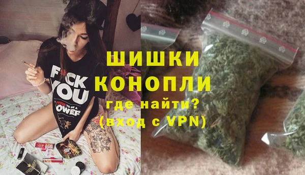 гидра Кохма