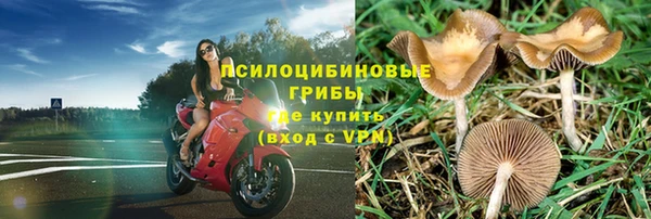 каннабис Вяземский