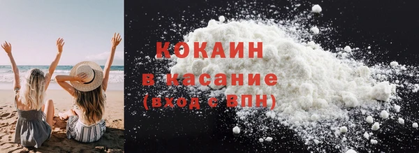 прущие грибы Вязники