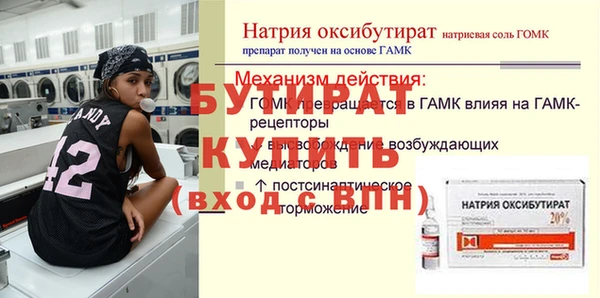 прущие грибы Вязники