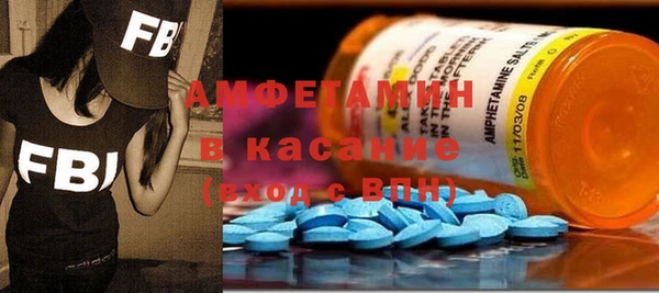 прущие грибы Вязники