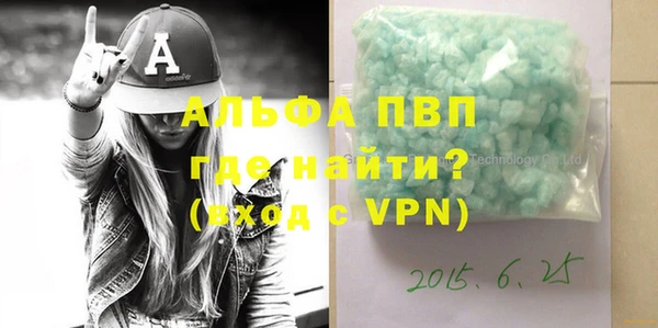 прущие грибы Вязники