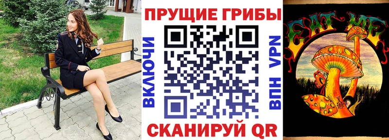 гидра ONION  Могоча  Псилоцибиновые грибы мицелий 